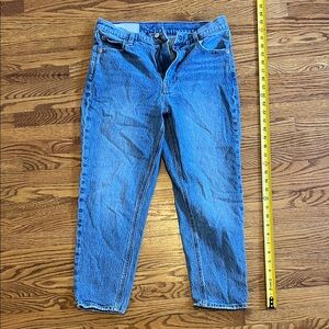 GAP Women’s Straight Blue Jeans